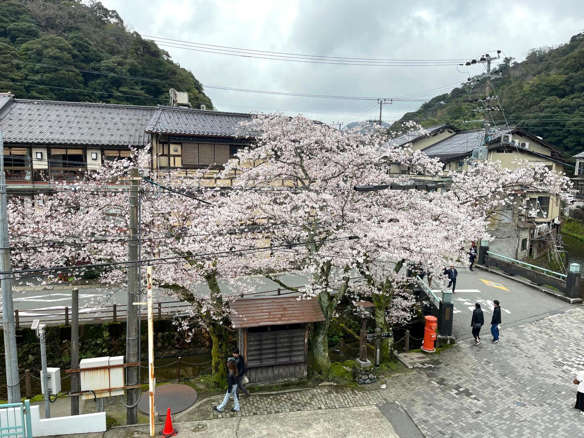 城崎温泉一棟貸し　旅宿yadokari Toyooka  Exterior photo