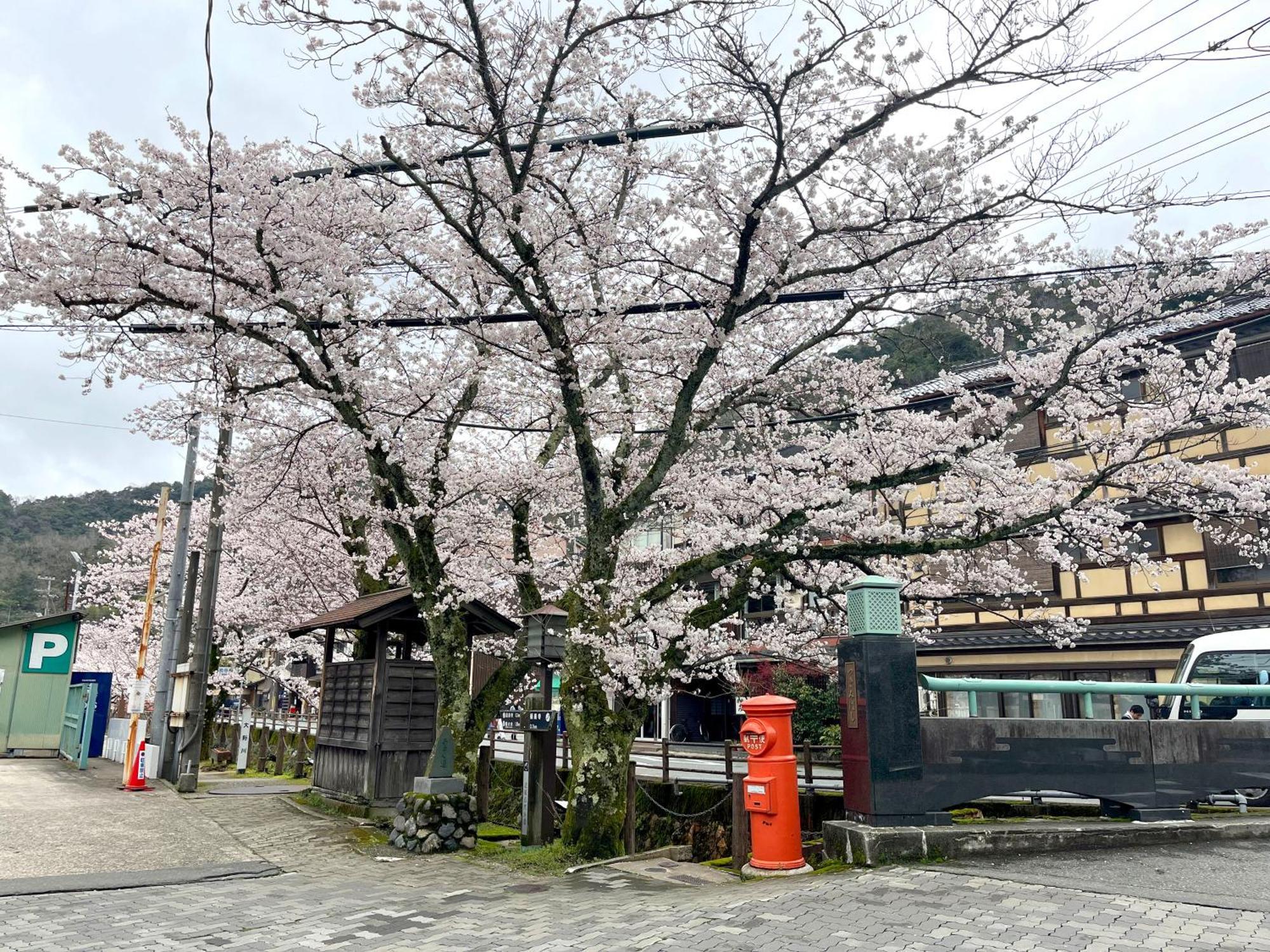 城崎温泉一棟貸し　旅宿yadokari Toyooka  Exterior photo